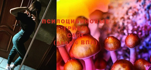 дмт Абаза