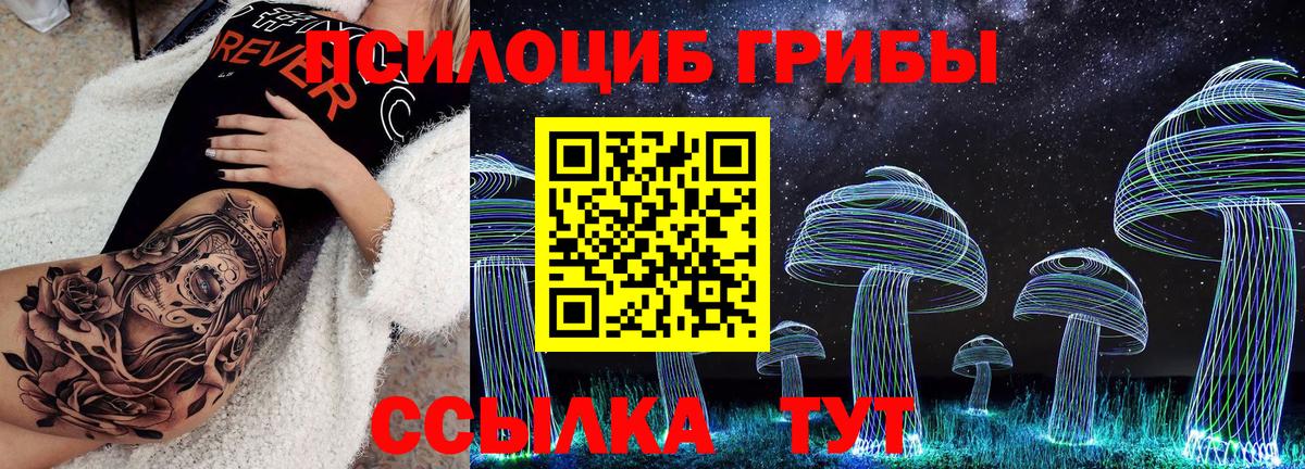 Псилоцибиновые грибы мицелий Партизанск